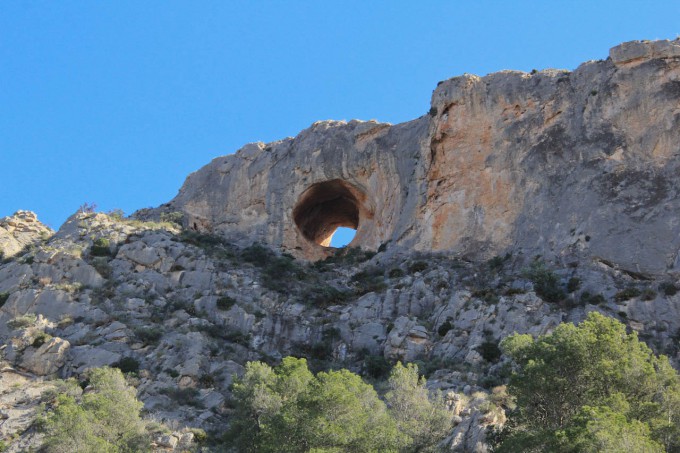 Cabezón de Oro